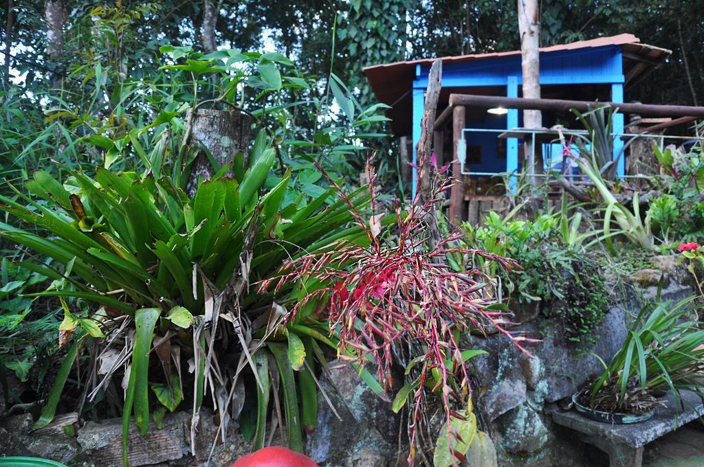 Pousada Ecologica Lua Bonita Do Nero Macacos  Εξωτερικό φωτογραφία